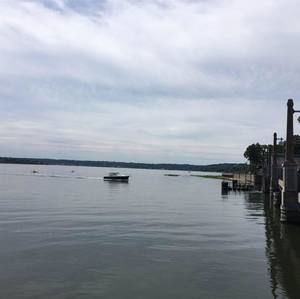 Meet your Posher, Donald